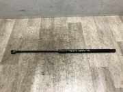 Gasdruckfeder Hinten 1747492 Ford Focus 3 Schrägheck 1.6 TDCi 95 (T3DB)