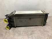 Ladeluftkühler 1440084580 Citroën Jumpy (G9) Van 1.6 HDI (DV6UC(9HM))
