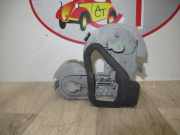 Kennzeichenbeleuchtung LINKS Renault Megane II CC (EM) Cabrio 1.9 dCi 120 (F9Q-800)