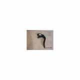 Gaspedalsensor Renault Clio IV (5R) Schrägheck 5-drs 1.5 dCi 75 FAP (K9K-612) 2014