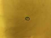 Motorhaube 0000046754159 Fiat Stilo (192A/B) Schrägheck 1.6 16V (182.B.6000)