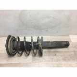 Federbein Rechts Vorne 5202LT Peugeot 206 (2A/C/H/J/S) Schrägheck 1.9 D (DW8(WJZ)) 2001