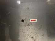 Motorhaube 00007901P5 Citro?n C-Crosser SUV 2.2 HDiF 16V (DW12METED4(4HK)) DW12METED4(4HK)