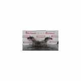 Unterrahme Vorne 544012717R Renault Megane III Berline (BZ) Schrägheck 5-drs 1.9 dCi (F9Q-N870) 2009