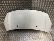Motorhaube 00007901R1 DS DS 3 (SA) Schrägheck 1.6 Blue Hdi 100 (DV6FD(BHY)) DV6FD(BHY)