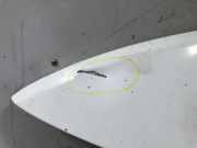 Kotflügel Links Vorne 4469787 Ford Transit RWD Ch.Cab/Pick-up 2.4 TDdi 16V (D2FB)