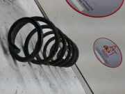 Schraubenfeder Hinten 51795369 Fiat Stilo (192A/B) Schrägheck 1.6 16V (182.B.6000)