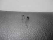 Handschuhfach Renault Scénic I (JA) -> 1999, Zie MEGANE Großraumlimousine 1.6 16V (K4M-700)