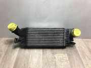 Ladeluftk?hler 00000384K8 Citro?n C5 III Berline (RD) Schr?gheck 1.6 HDiF 16V (DV6TED4(9HZ)) DV6TED4(9HZ)