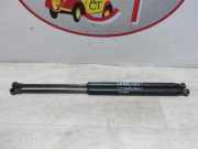 Gasdruckfeder Hinten 51785412 Fiat 500 (312) Schrägheck 1.3 MJTD 16V (169.A.1000)