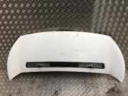 Motorhaube 1608371780 Fiat Scudo (270) Van 2.0 D Multijet (DW10UTED4(RHK))