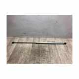 Gasdruckfeder Vorne Volkswagen New Beetle (1Y7) Cabrio 1.4 16V (BCA) 2003 BCA