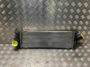 Ladeluftkühler 1449600Q0A Nissan Primastar Van 2.0 dCi 120 (M9R-630(M9R-A6))