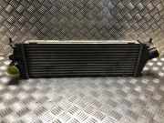 Ladeluftk?hler 8200411160 Renault Trafic New (FL) Van 2.0 dCi 16V 115 (M9R-782)