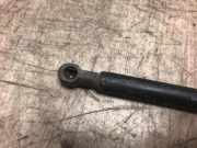 Gasdruckfeder Hinten 8731C9 Peugeot 406 Coupé (8C) Coupé 2.2 16V (EW12J4(3FZ))