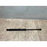 Gasdruckfeder Hinten 8200385560 Renault Twingo II (CN) Schrägheck 3-drs 1.2 16V (D4F-770) 2011