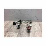 Kennzeichenbeleuchtung RECHTS Hyundai Getz Schrägheck 1.5 CRDi 16V (D4FAL) 2007