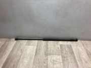 Gasdruckfeder Rechts Hinten 1683725 Ford C-Max (DM2) Großraumlimousine 1.8 TDCi 16V (KKDB)