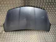Motorhaube 651004A00C Nissan Pixo (D31S) Schrägheck 1.0 12V (K10B)