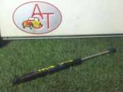 Gasdruckfeder Links Hinten Cadillac STS (K63) Limousine 3.6 V6 24V VVT Li (LY7)