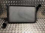 Ladeluftkühler 1K0145803R Volkswagen Golf V (1K1) Schrägheck 2.0 TDI DPF (BMM) BMM
