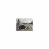 Tank Citroën C5 Touring (RW) Kombi 1.6 HDiF 16V (DV6TED4(9HL)) 2011