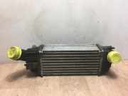 Ladeluftkühler 00000384N4 Citroën C5 Touring (RW) Kombi 2.0 HDiF 16V (DW10CTED4(RHD))