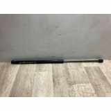 Gasdruckfeder Hinten 2444429 Ford Fiesta 7 Schrägheck 1.5 TDCi 85 (XUJM) 2019