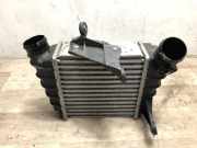Ladeluftkühler 6Q0145804A Volkswagen Polo IV (9N1/2/3) Schrägheck 1.4 TDI 70 (BNM) BNM