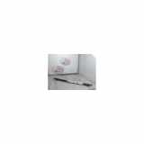Gasdruckfeder Hinten 00008731T9 Citroën C3 (SC) Schrägheck 1.4 HDi (DV4C(8HR)) 2012