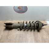 Federbein Rechts Vorne 93198026 Opel Vivaro Bus 2.5 DTI 16V (G9U-730) 2006