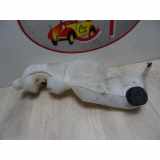 Scheibenwaschbehälter 289107917R Dacia Dokker Express (8S) Van 1.2 TCE 16V (H5F-C402) 2015