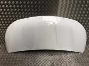 Motorhaube 6510000Q0M Nissan Primastar Van 2.0 dCi 130 (M9R-714(M9R-Z7))