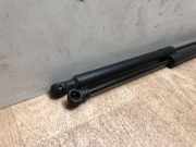 Gasdruckfeder Hinten 00008731V4 Citroën DS3 (SA) Schrägheck 1.6 e-HDi (DV6DTED(9HP))