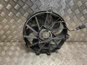 Kühlerlüfter Fiat Scudo (270) Van 2.0 D Multijet (DW10UTED4(RHK))