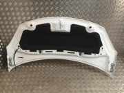 Motorhaube 00007901R1 DS DS 3 (SA) Schrägheck 1.2 12V PureTech 82 (EB2F(HMZ)) EB2F(HMZ)