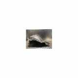 Innenkotflügel Links Vorne 9066840277 Mercedes-Benz Sprinter 3,5t (906.13/906.23) Ch.Cab/Pick-up 313 CDI 16V (Euro 6)) 2010
