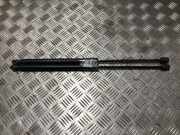 Gasdruckfeder Hinten 00008731R6 Citroën C5 III Tourer (RW) Kombi 2.0 HDiF 16V (DW10BTED4(RHF))