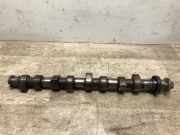 Nockenwelle 038109101K Volkswagen Golf IV (1J1) Schrägheck 1.9 TDI 110 (AHF) AHF