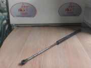 Gasdruckfeder Hinten 5Z6827550B Volkswagen Fox (5Z) Schr?gheck 1.4 TDI (BNM) BNM