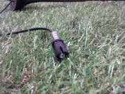 Antenne 00006561A0 Citroën C5 II Berline (RC) Schrägheck 1.6 HDiF 16V (DV6TED4(9HZ))