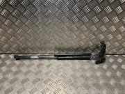 Gasdruckfeder Hinten 1747492 Ford Focus 3 Schr?gheck 1.6 TDCi 95 (T3DB)