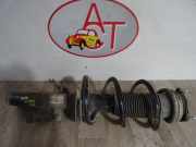 Federbein Rechts Vorne Ford Transit