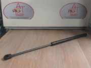 Gasdruckfeder Hinten 00008731H8 Citroën C2 (JM)