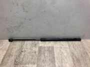 Gasdruckfeder Rechts Hinten 9800717680 Citroën C4 Berline (NC) Schrägheck 5-drs 1.6 Hdi 90 (DV6DTED(9HP))