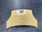 Motorhaube 00007901Q1 Citroën Nemo (AA) Van 1.3 HDi 75 (F13DTE5(FHZ))