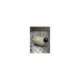 Ausgleichbehälter 217108864R Renault Captur II (RJB) SUV 1.3 TCE 140 16V (H5H-E4) 2021