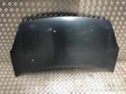 Motorhaube 00007901P7 Citroën Berlingo Cinqspace, Multispace Großraumlimousine 1.6 Hdi 16V 90 (DV6ATED4(9HX))