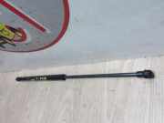 Gasdruckfeder Links Hinten 689500H010 Toyota Aygo (B10) Schrägheck 1.0 12V VVT-i (1KR-FE)