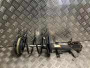 Federbein Links Vorne 8200676029 Renault Clio III (BR/CR) Schrägheck 1.5 dCi 85 (K9K-766)